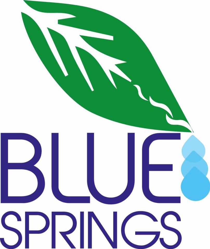 Blue Springs Cameroon_logo