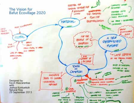 bwc_vision work for bafut ecovillage 2020